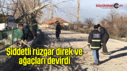 Şiddetli rüzgar direk ve ağaçları devirdi