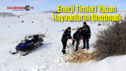 Enerji Timleri Yaban Hayvanlarını Unutmadı