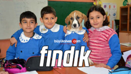 Mezarlıkta Bulunan ve Fındık Adı Verilen Yavru Köpek Sınıfın Maskotu Oldu