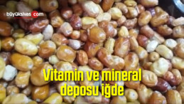 Vitamin ve mineral deposu iğde