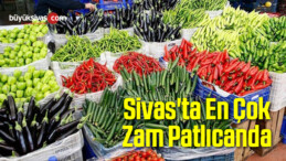 Sivas’ta En Çok Zam Patlıcanda