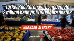 Türkiye’de Koronavirüs nedeniyle 2 milyon haneye 1.000’er lira destek