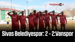 TFF 2. Lig: Sivas Belediyespor: 2 – Vanspor: 2