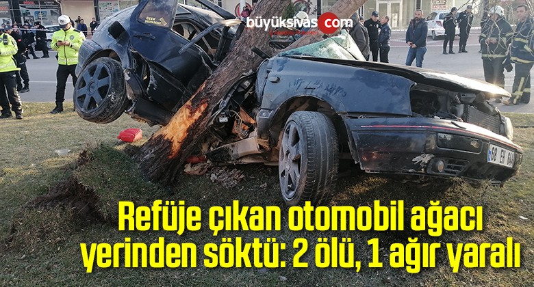 Refüje çıkan otomobil ağacı yerinden söktü: 2 ölü, 1 ağır yaralı