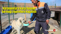 Koronavirüs’e karşı hayvan barınağı ziyaretlere kapatıldı