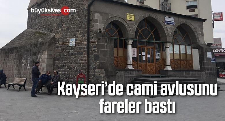 Kayseri’de cami avlusunu fareler bastı