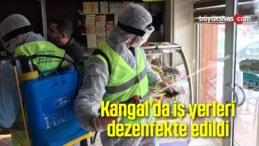 Kangal’da iş yerleri dezenfekte edildi