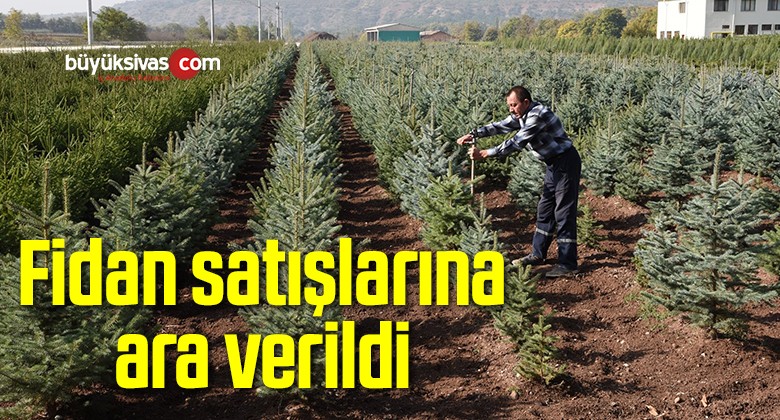 Fidan satışlarına ara verildi