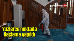 Yüzlerce noktada ilaçlama yapıldı