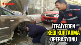 Karaman’da itfaiyeden kedi kurtarma operasyonu