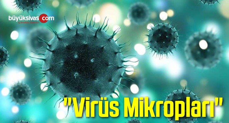 “Virüs Mikropları”