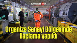 Organize Sanayi Bölgesinde ilaçlama yapıldı