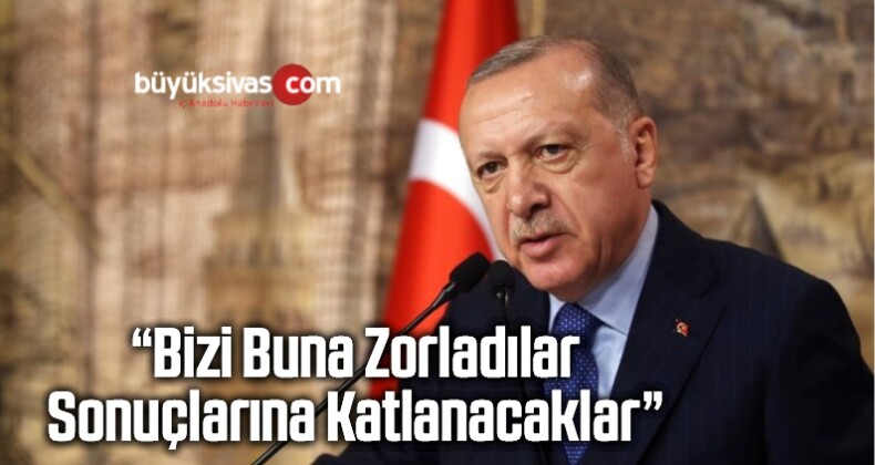 Başkan Erdoğan: Bizi Buna Zorladılar Sonuçlarına Katlanacaklar