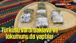 Türküsü vardı baklava ve lokumunu da yaptılar