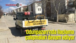 Odunpazarı’nda ilaçlama çalışmaları devam ediyor