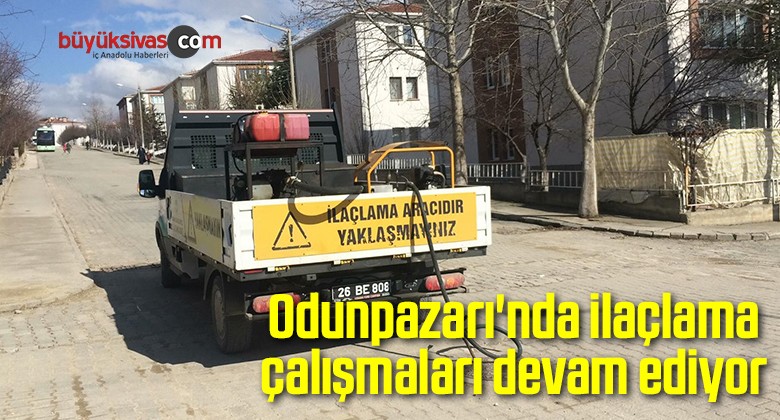 Odunpazarı’nda ilaçlama çalışmaları devam ediyor