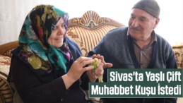 Sivas’ta Eve Kapanan Yaşlı Çift Muhabbet Kuşu İstedi