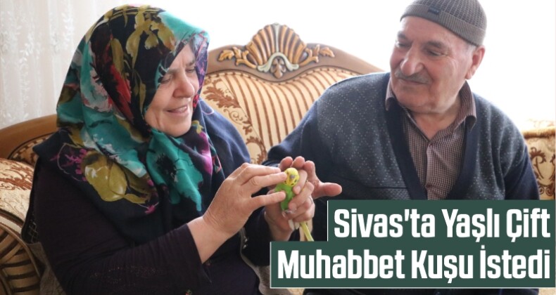 Sivas’ta Eve Kapanan Yaşlı Çift Muhabbet Kuşu İstedi