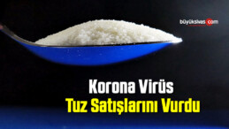 Korona virüs tuz satışlarını vurdu