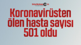 Koronavirüsten ölen hasta sayısı 501 oldu