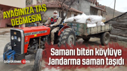 Karantina altında samanı biten köylüye Jandarma saman taşıdı