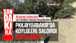 Diyarbakır’da PKK’lı Teröristler Köylülere Saldırdı 5 Şehit