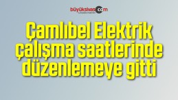 Çamlıbel Elektrik çalışma saatlerinde düzenlemeye gitti