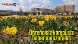 Öğrencisiz kampüste bahar manzaraları