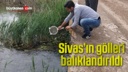 Sivas’ın gölleri balıklandırıldı