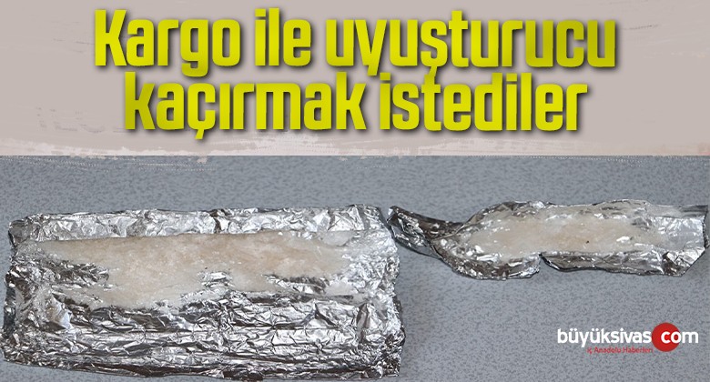 Kargo ile uyuşturucu kaçırmak istediler