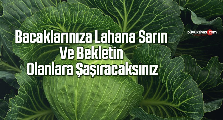 Bacaklarınıza Lahana Sarın Ve Bekletin Olanlara Şaşıracaksınız