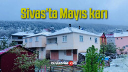 Sivas’ta Mayıs karı