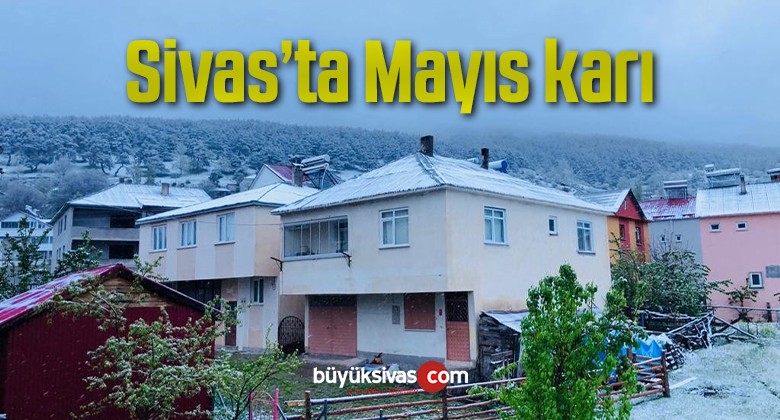 Sivas’ta Mayıs karı