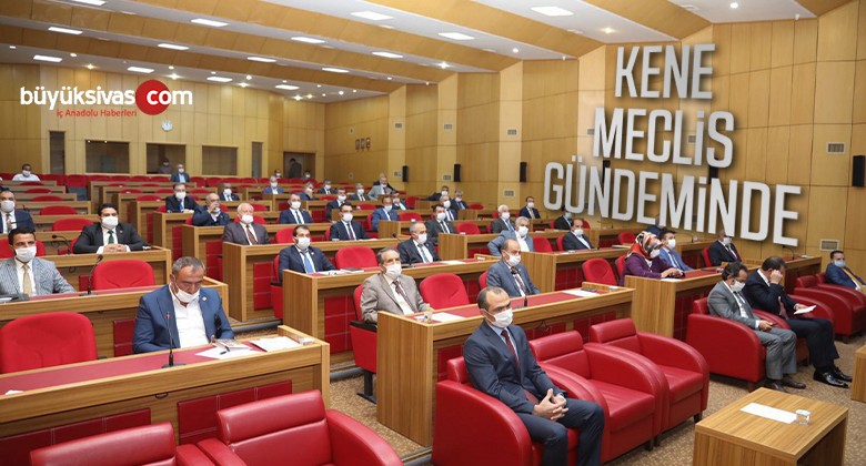 Kene meclise taşındı