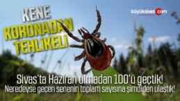 Kene Koronavirüs’den Daha Tehlikeli! Şimdiden Vaka Sayısı 100’ü Buldu!