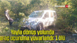 Yayla dönüş yolunda araç uçuruma yuvarlandı: 1 ölü