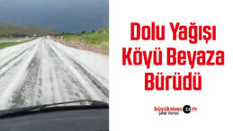 Dolu yağışı köyü beyaza bürüdü