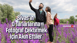 Sivas’ın O Tarlarlarına Fotoğraf Çektirmek İçin Akın Ettiler