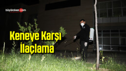 Keneye Karşı İlaçlama