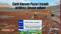 Canlı Hayvan Pazarı inşaatı aralıksız devam ediyor