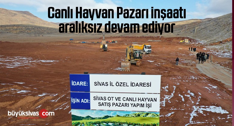 Canlı Hayvan Pazarı inşaatı aralıksız devam ediyor