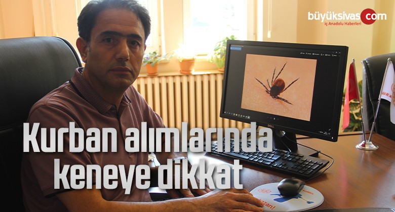 Kurban alımlarında keneye dikkat