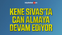 Sivas’ta KKKA’dan 6. ölüm