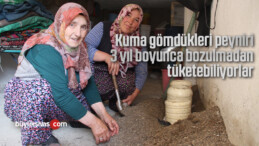 Kuma gömdükleri peyniri, 3 yıl boyunca bozulmadan tüketebiliyorlar