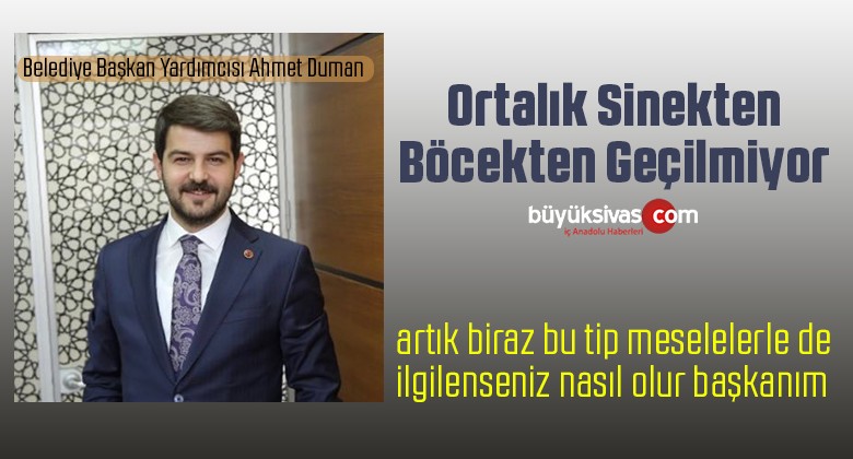 Sivas’ta vatandaşlar böcek haşere sinek vb. konulardan çok şikayetçi