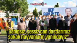 “Sahipsiz, sessiz can dostlarımız, sokak hayvanların yanındayız”