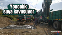 Yoncalık suya kavuşuyor