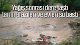 Yağış sonrası dere taştı, tarım arazileri ve evleri su bastı