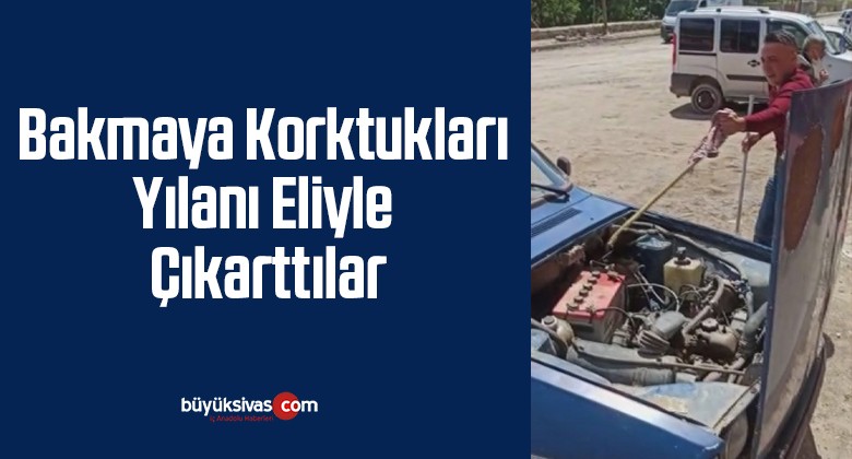 Bakmaya Korktukları Yılanı Eliyle Çıkarttılar