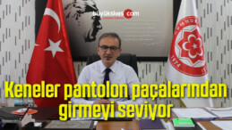 Keneler pantolon paçalarından girmeyi seviyor